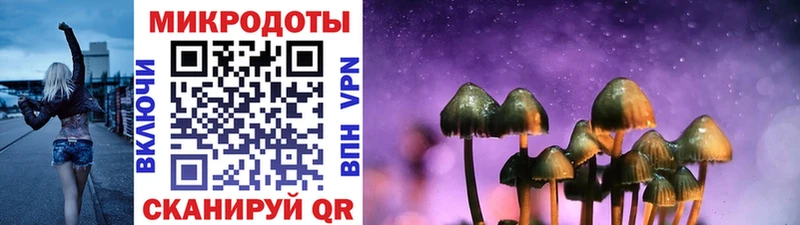 Купить  Приволжский  Галлюциногенные грибы GOLDEN TEACHER 